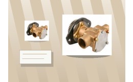 Complete Water Pump Questions Buyers Ask Before Ordering