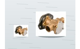 Complete Water Pumps Buying Guide