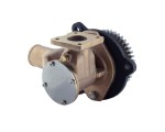 SHCTR-22063494