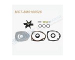 MCT-8M0100526