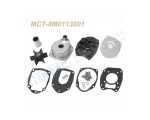 MCT-8M0113801