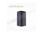 SHCTR-991225