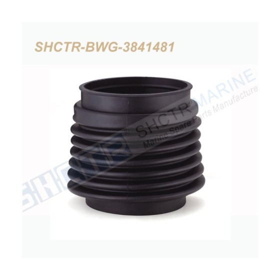 SHCTR-BWG-3841481