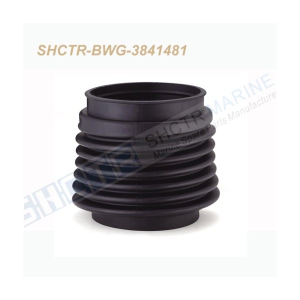 SHCTR-BWG-3841481
