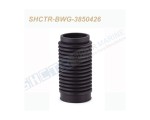 SHCTR-BWG-3850426