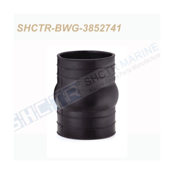 SHCTR-BWG-3852741
