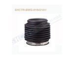 SHCTR-BWG-816431A1