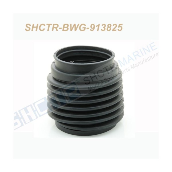 SHCTR-BWG-913825