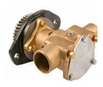 Complete Water Pump