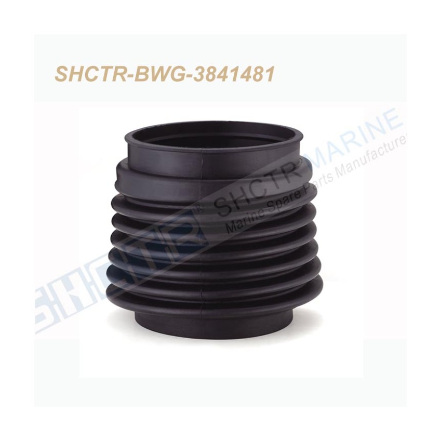 SHCTR-BWG-3841481
