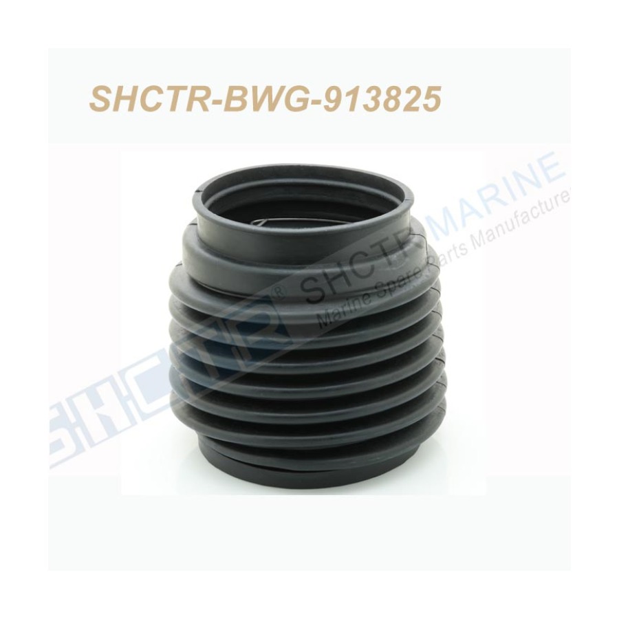 SHCTR-BWG-913825